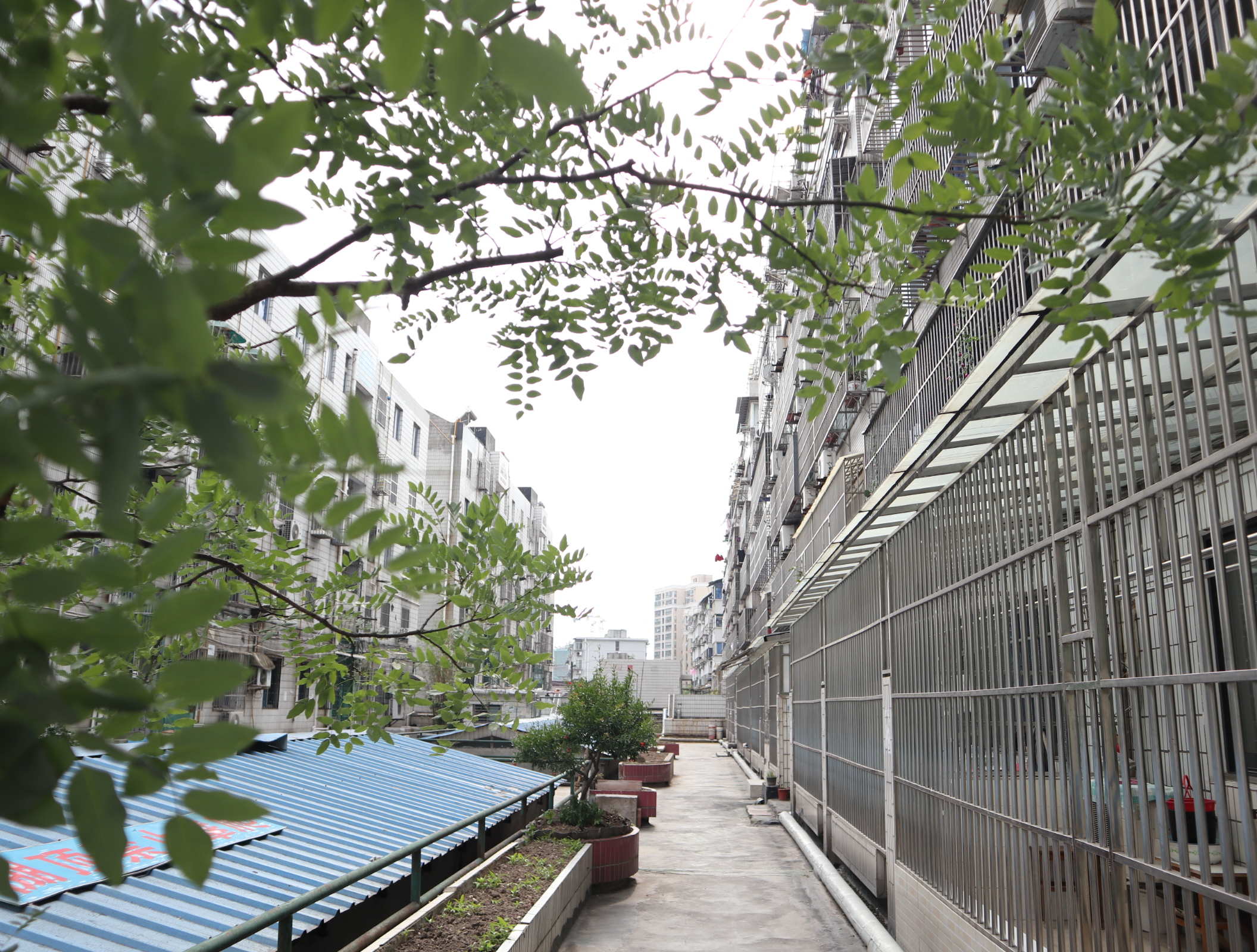 溪北新村